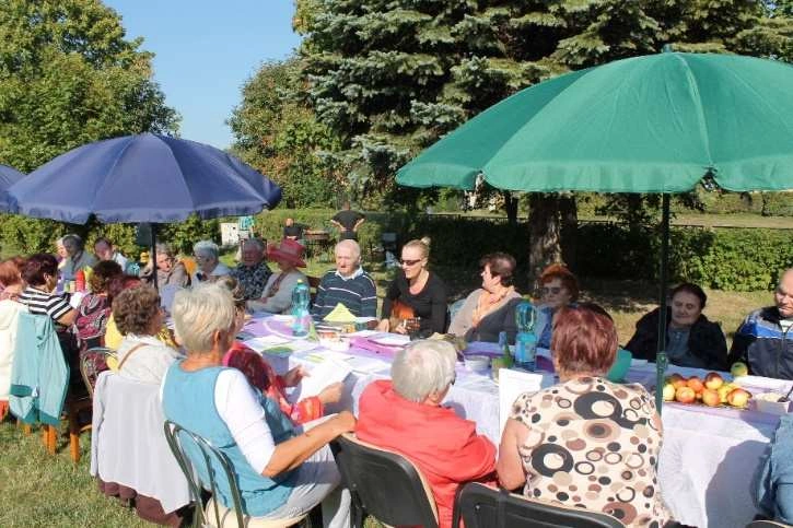 piknik dla seniorów w parku