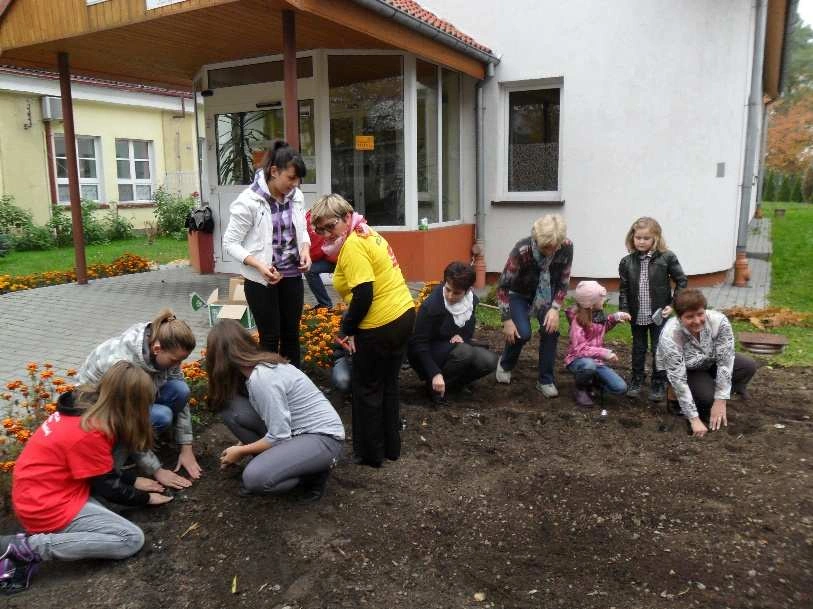 akcja sadzenia żonkili przed budynkiem ośrodka w Sztumie