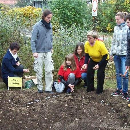 2011 r. – sadzenie żonkili w ramach Akcji Pola Nadziei